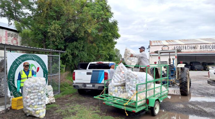 Recuperan más de 6 toneladas de botes vacíos que contenían plaguicidas