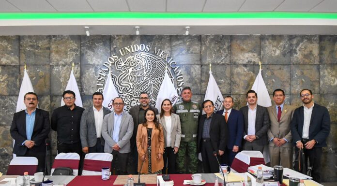 Avanza tren de pasajeros entre Querétaro e Irapuato