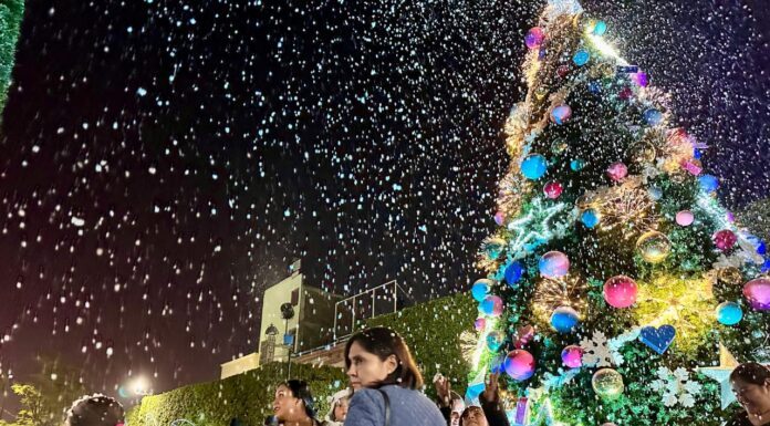 Si no has vivido la magia de Silao, aún tienes tiempo de vivir una nevada histórica