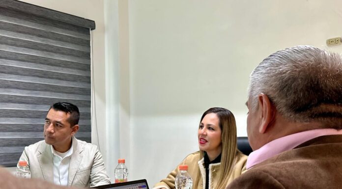 Encabeza Melanie Murillo mesa regional de seguridad en Silao