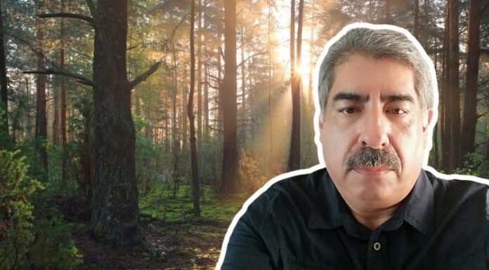 Para antes del olvido