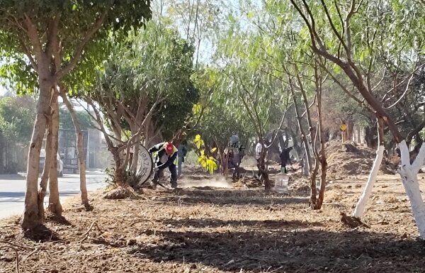 Recupera municipio de Silao camellón del fraccionamiento Las Huertas