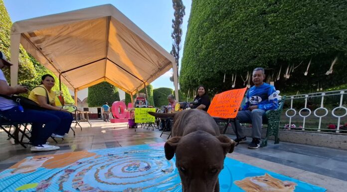 Se lleva a cabo en Silao el Kilómetro Perrón