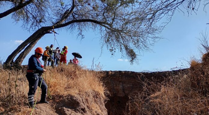 Policía ambiental rescata a terneros que cayeron a pozo en la capital