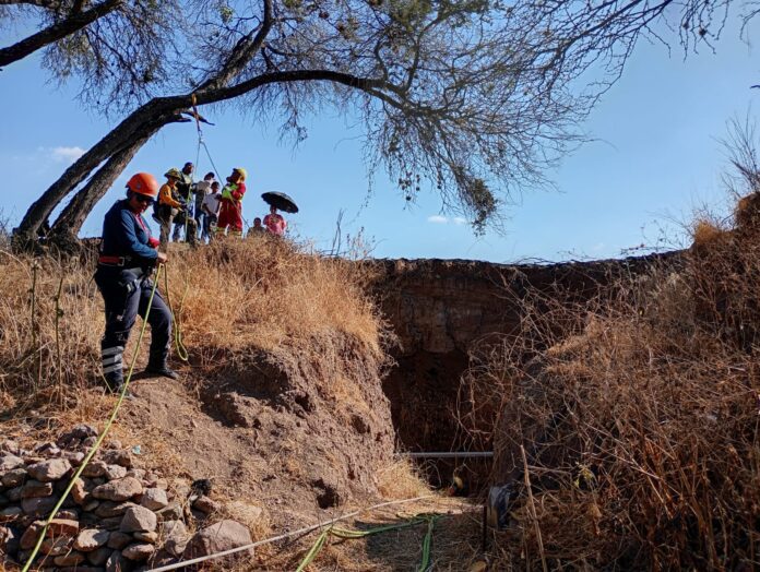 WhatsApp Image 2025-02-12 at 3.15.35 PM