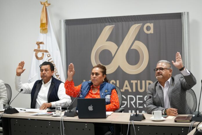 WhatsApp Image 2025-02-12 at 3.37.56 PM