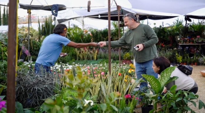Inicia Feria de la Candelaria en San Miguel de Allende