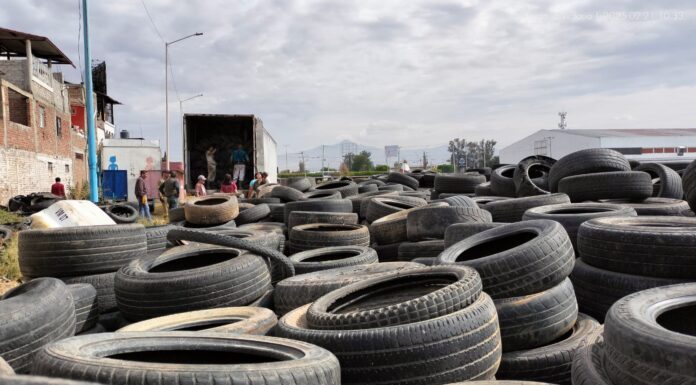 Recolectan en Silao 1 mil 600 llantas en desuso en una semana