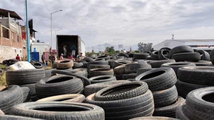 WhatsApp Image 2025-02-21 at 3.45.19 PM