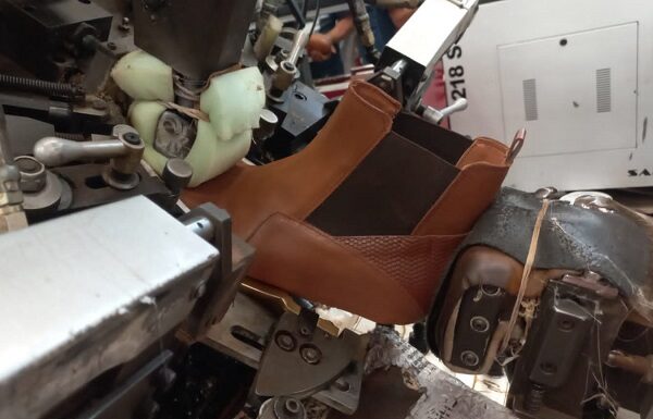 Se capacitan más de 30 mil leoneses para mejorar su capacidad laboral