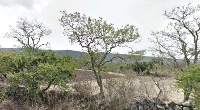 Autoridades reportan localización sin vida de Mateo Santiago