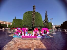 SAPAS invita a carrera conmemorativa ¡Corre por el agua! en Silao