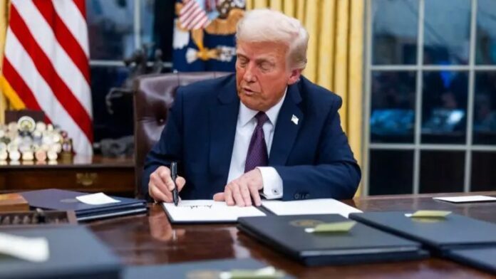 WhatsApp Image 2025-03-03 at 7.59.33 PM