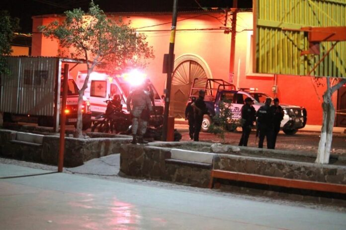 WhatsApp Image 2025-03-17 at 11.08.15 AM