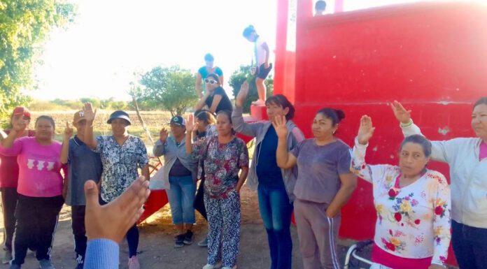 Ya tienen comité de seguridad vecinal en Guadalupe de Ramales en Silao