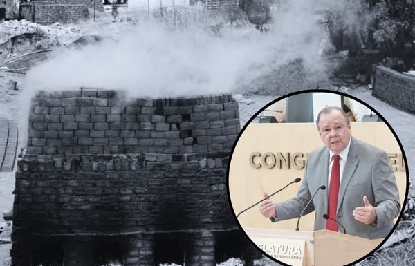 Exhorta diputado David Martínez atender ladrilleras en Guanajuato