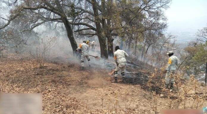 Controlan en Guanajuato incendio en sierra de Puruaga; en Michoacán van al 50%