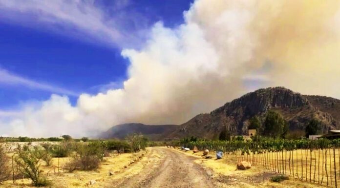 Parcialmente controlado incendio en Sierra de los Agustinos