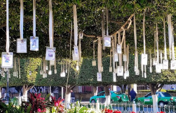 Madres buscadoras formarán parte del Viacrusis en el Centro de León