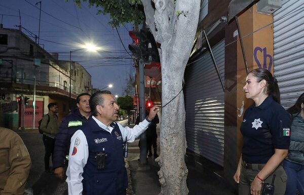 Desconectaron 89 cámaras irregulares en la Miguel Alemán: Ale Gutiérrez