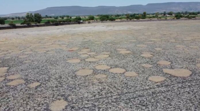 WhatsApp Image 2025-05-02 at 12.31.26 PM