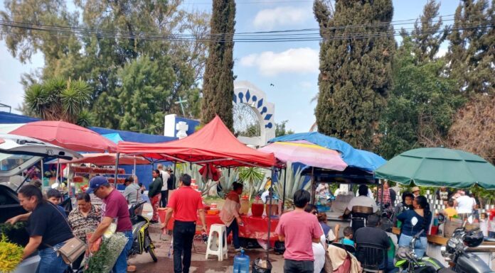 Sin incidencias operativo en panteones de Silao