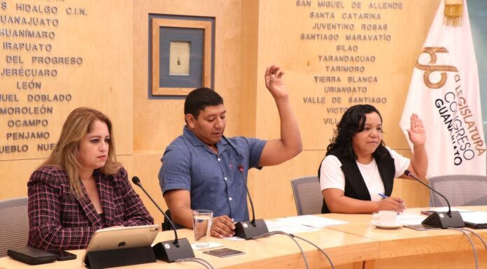 Diputados piden reforzar protección a periodistas y activistas