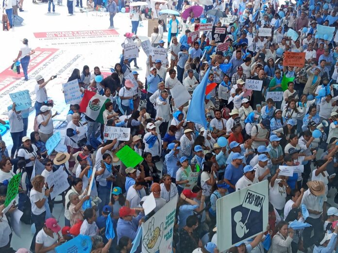 WhatsApp Image 2025-05-29 at 2.06.22 PM (1)