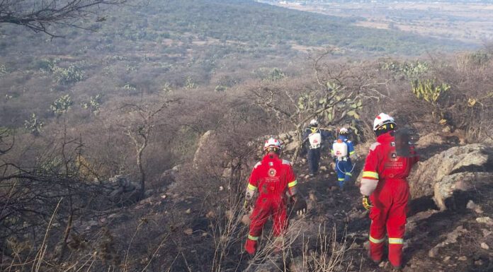 San Miguel de Allende se suma a Día Internacional del Combate de Incendios Forestales