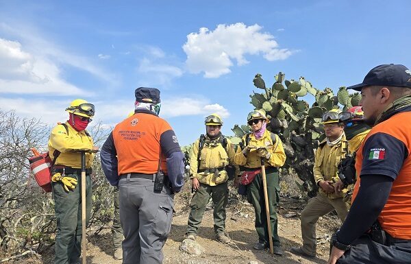Tras cuatro días brigadas municipales sofocan incendio en Cerro del Cuervo