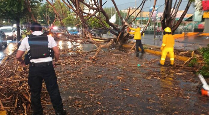 Se registra primera lluvia en León y causa estragos