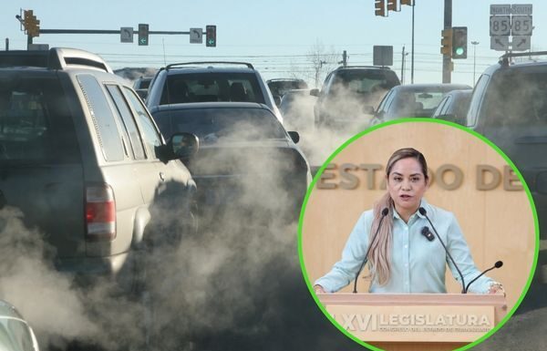 Guanajuato necesita fiscalía especial en delitos ambientales: PVEM