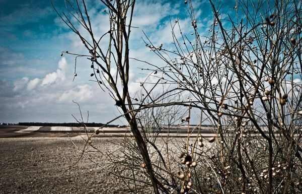 Impulsan diputados del PAN-PRD mejores condiciones para el agro