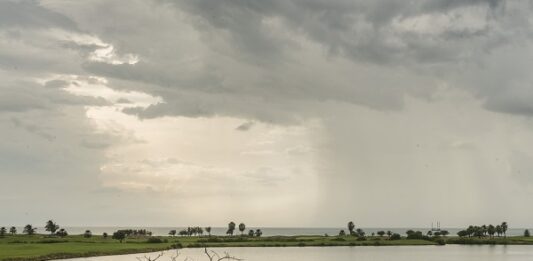 En Julio se registraron lluvias irregulares en Guanajuato