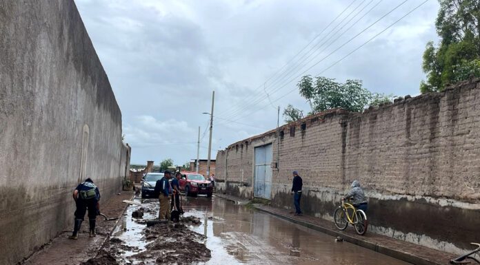 Brigadas estatales permanecerán en zona siniestrada el tiempo necesario: Libia Dennise