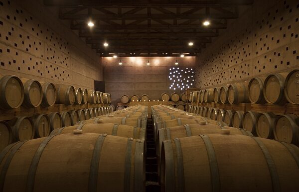 SECTURI busca consolidar enoturismo en el Valle de la Independencia