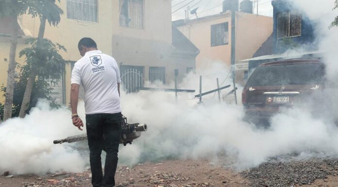 Refuerzan acciones en León para prevenir dengue Refuerzan acciones en León para prevenir dengue