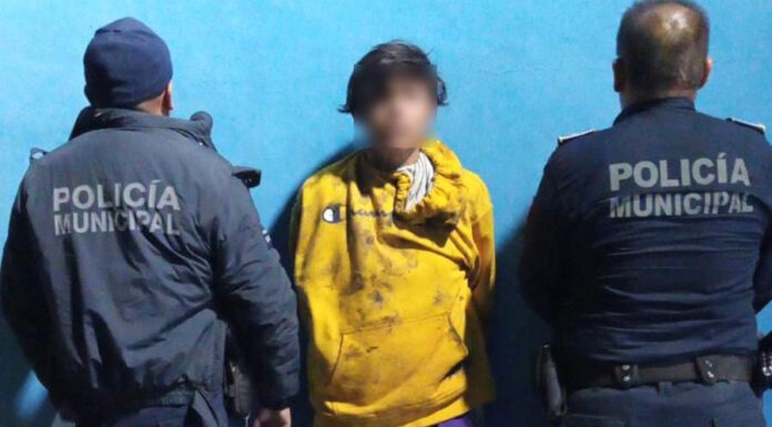 Detienen a presunto implicado en robo entre Silao y Romita