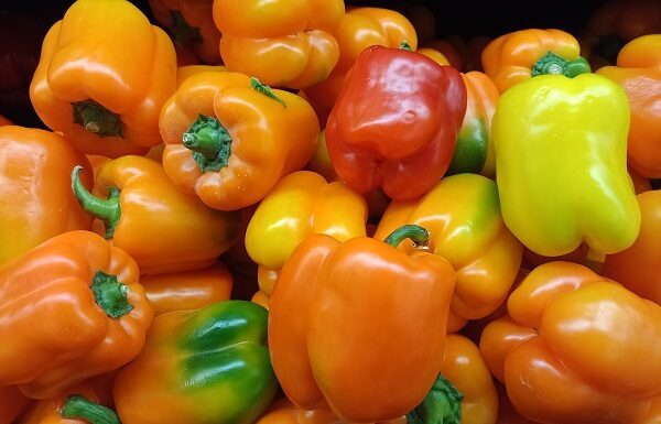 Canacintra ve agroindustrias locales potencia en mercados internacionales