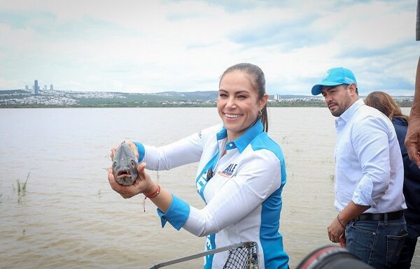 Termina sequía en El Palote; inicia siembra de peces