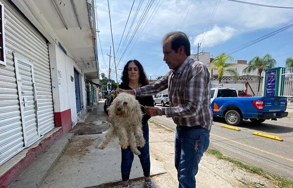 Marcos Aguilera se convirtió en héroe otra vez; rescató a seis lomitos en León