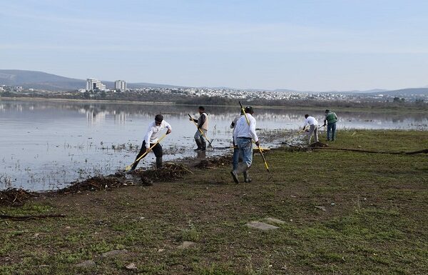 Disminuye nivel de sequía en Guanajuato