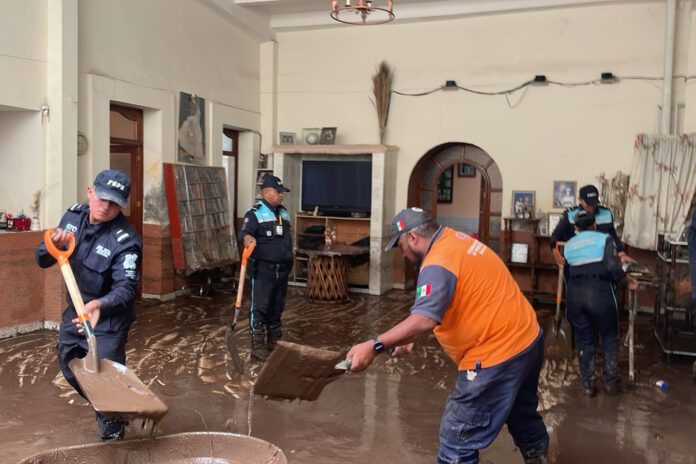 seguridad y paz