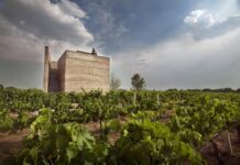 Guanajuato en verano: Entre brillo cósmico y sabor a nuestra tierra