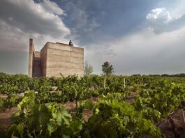 Guanajuato en verano: Entre brillo cósmico y sabor a nuestra tierra