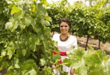 Guanajuato es el tercer destino turístico con más reconocimientos