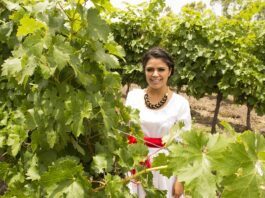 Guanajuato es el tercer destino turístico con más reconocimientos