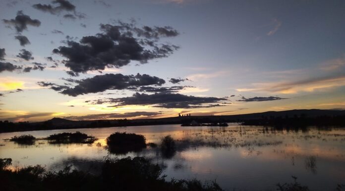 Presas de León al 92 por ciento; El Palote superó 110 en su nivel