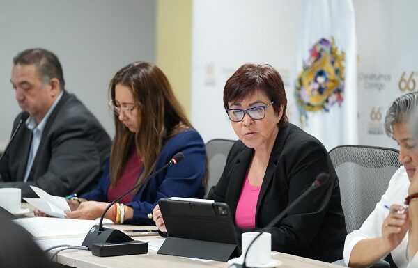 Analizan PAN iniciativas sobre movilidad, servicio social y emprendimiento digital