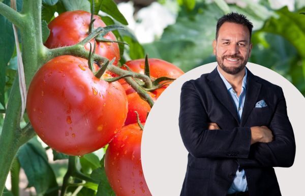 Jitomate mexicano: El reto no es lo que vendes, sino cómo lo vendes